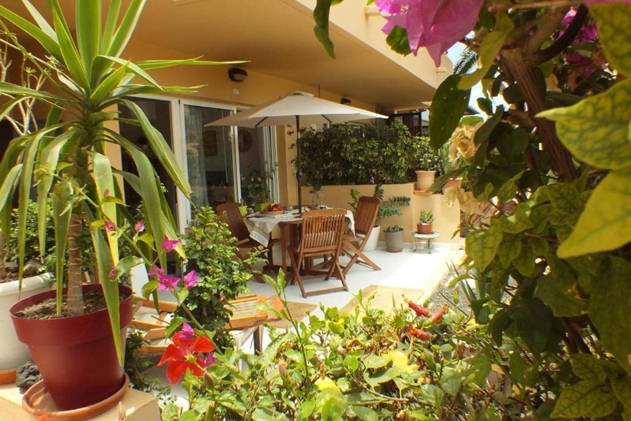 Appartement avec Terrasse