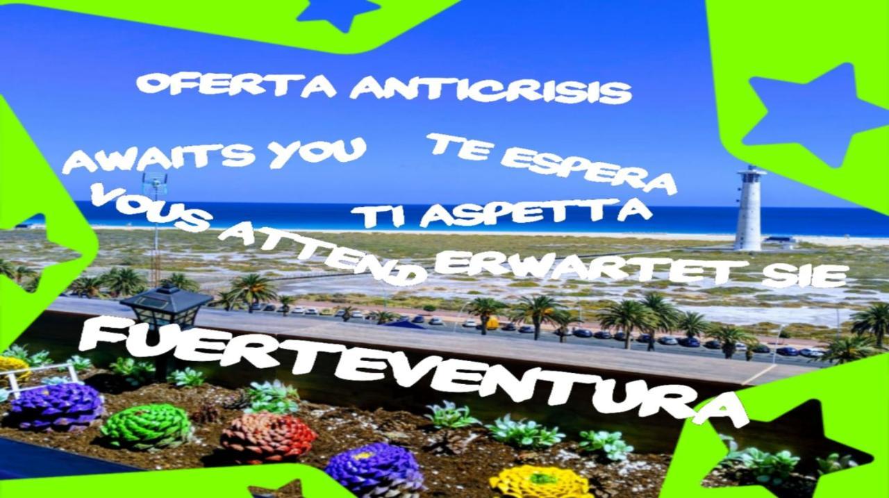 Studio Apartment with Sea View,1352100503:JPEG