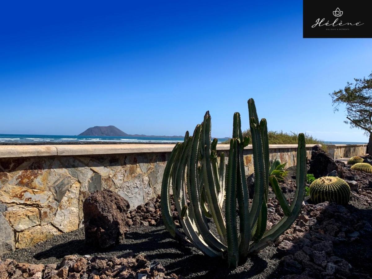 Studio - Vue sur Mer