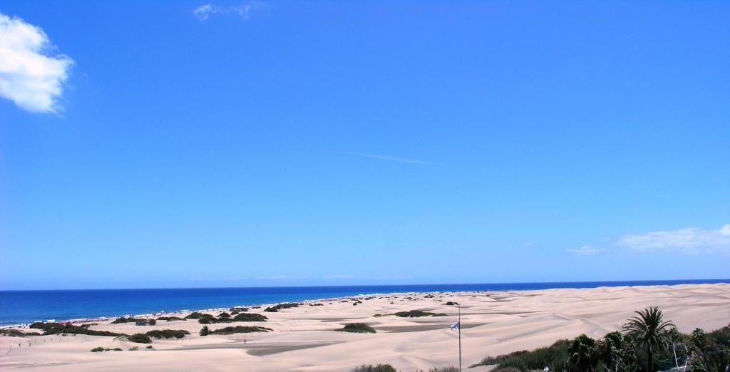 Apartment with Sea View,40631971:JPEG