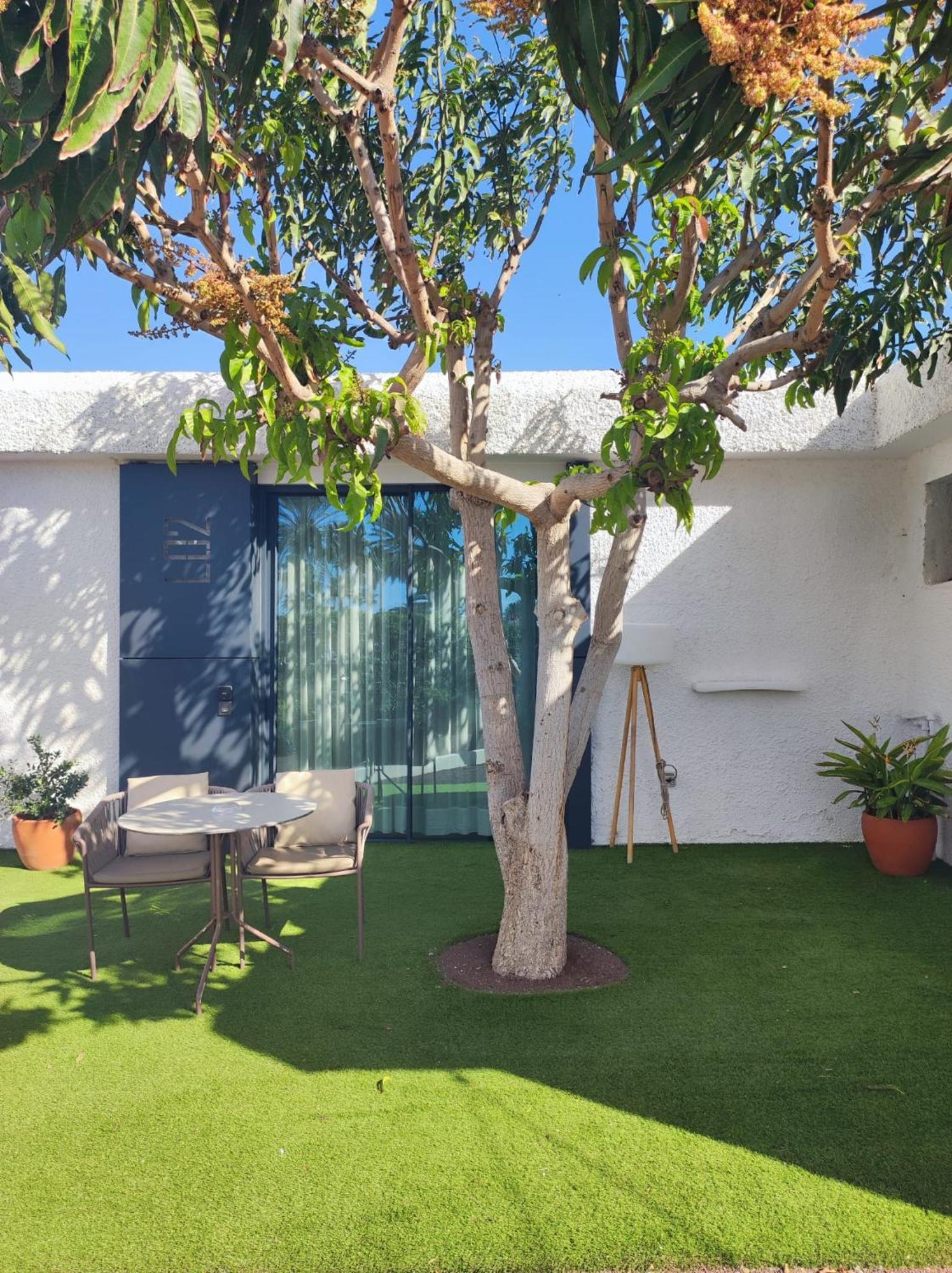 Studio avec Vue sur Jardin