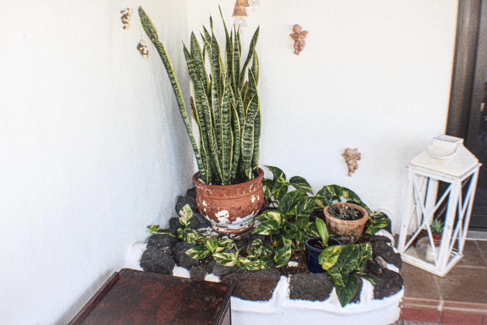 Deluxe Apartment,1692108324:JPEG