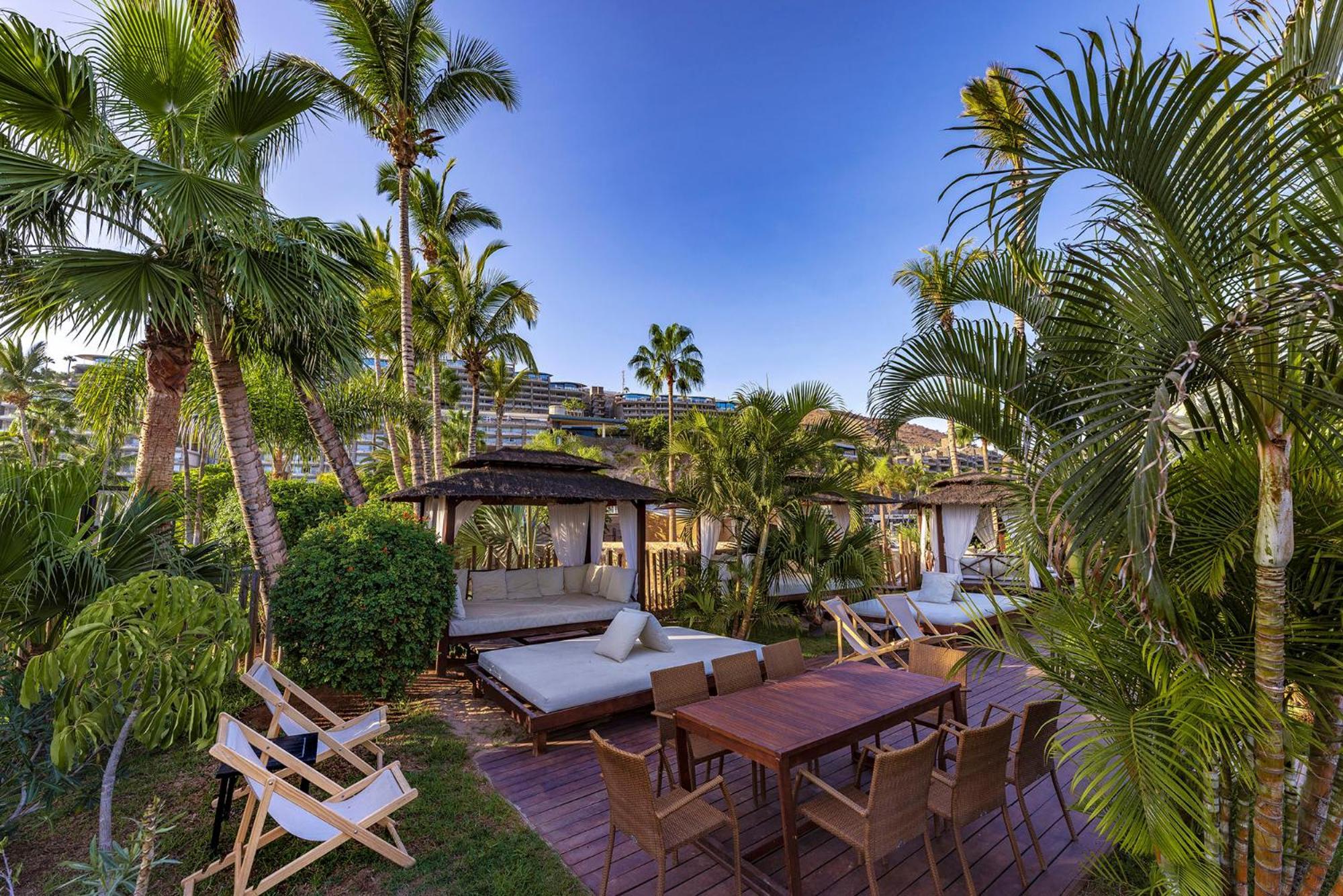 Deluxe One-Bedroom Apartment Ocean View