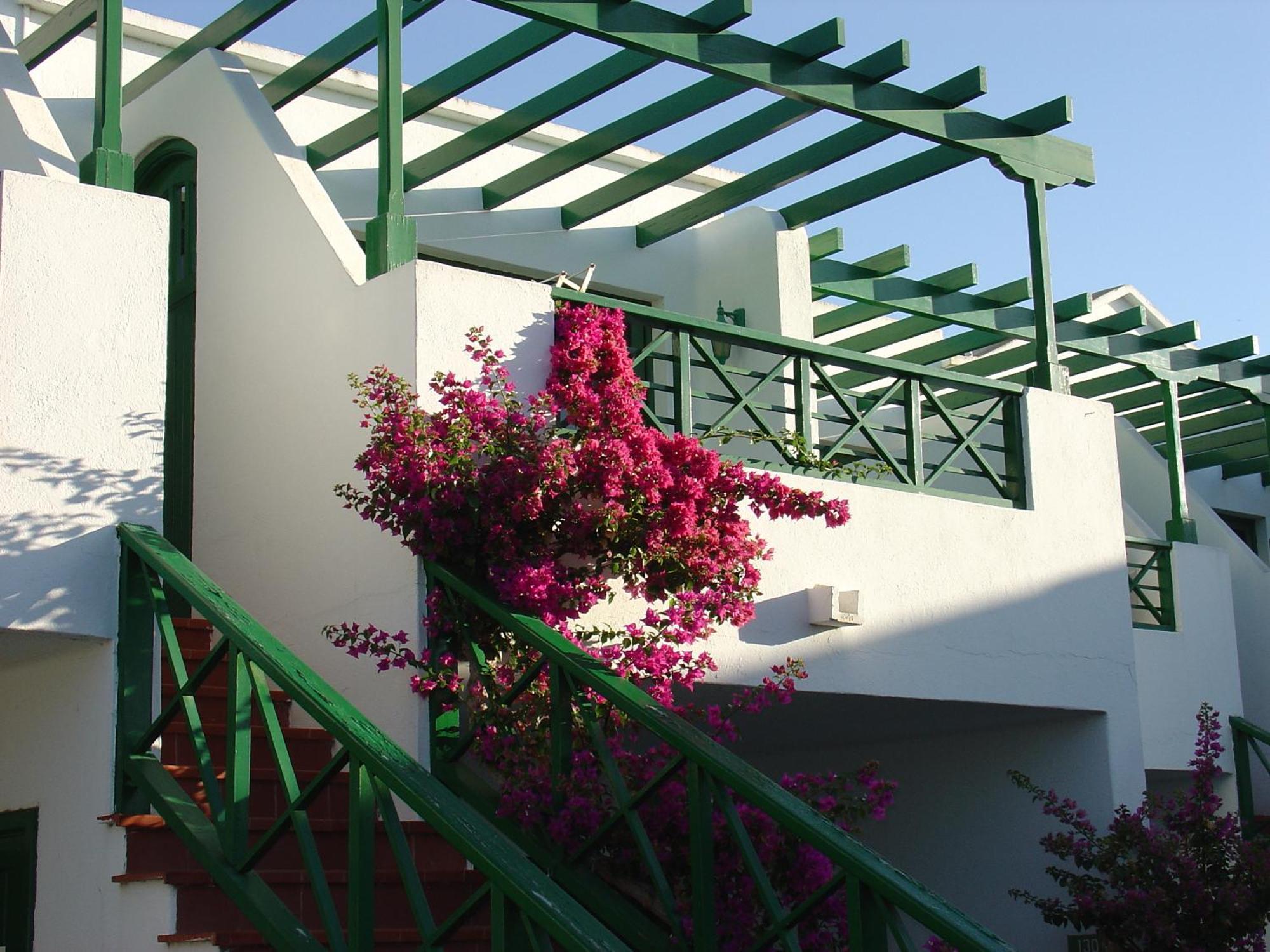 Two-Bedroom Apartment (4 Adults),244235413:JPEG