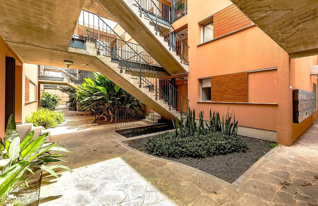 Strelitzia Park-1