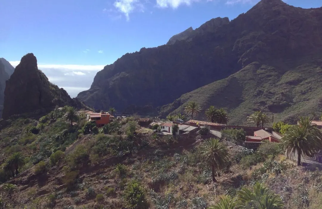 Wifi Tenerife Sur Guest House-1