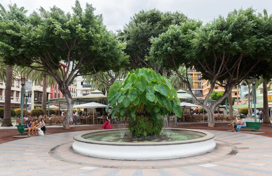 Home2Book Charming Apartment Puerto De La Cruz, 103-1