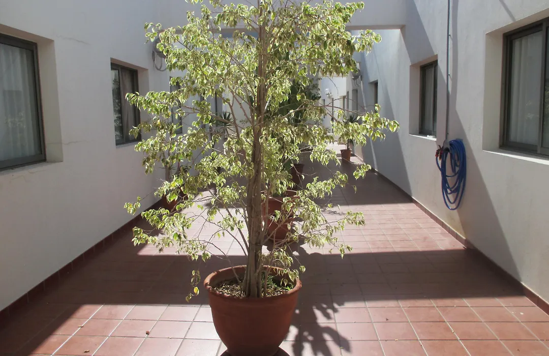 Hotel Avenida de Canarias-1