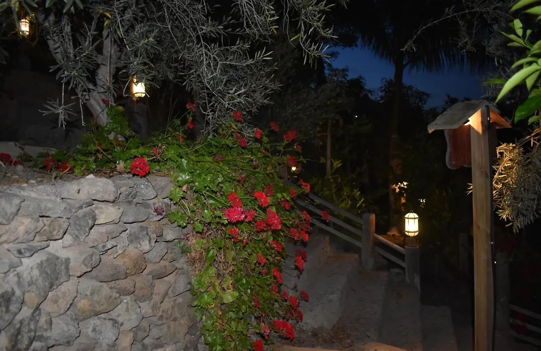 Romantica-1