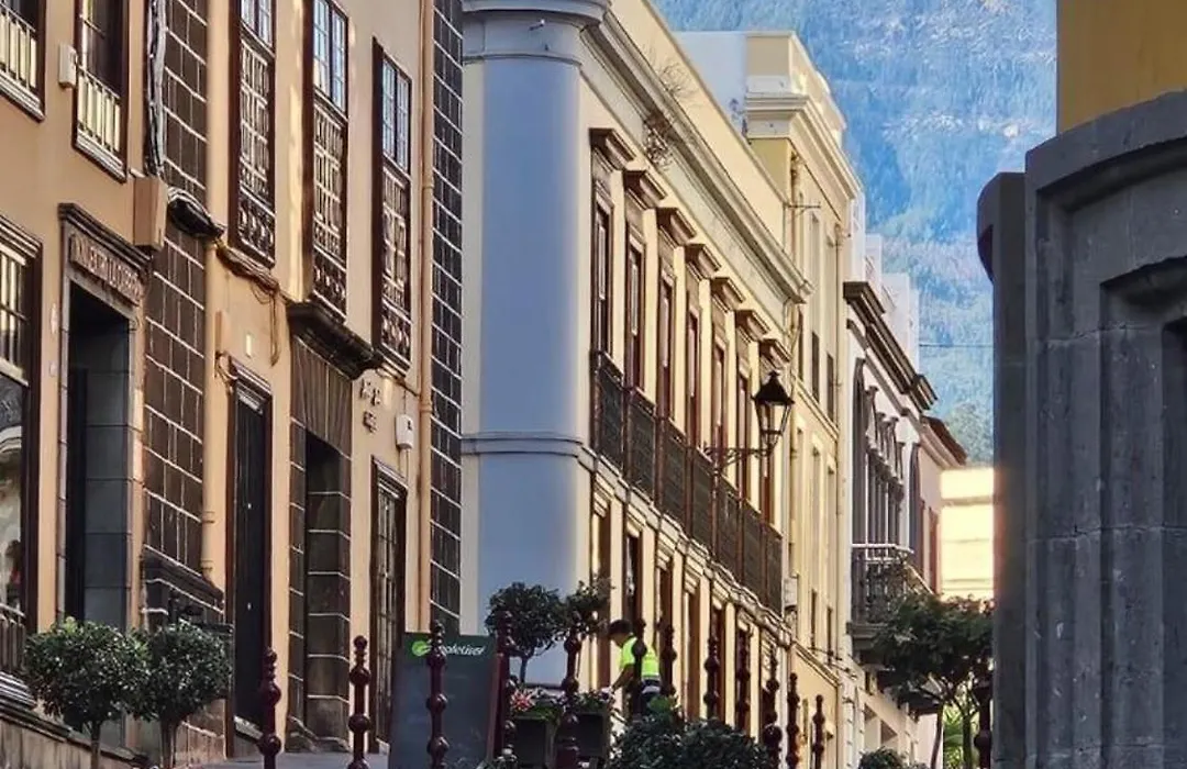 Piso Auditorio Centro La Orotava-1