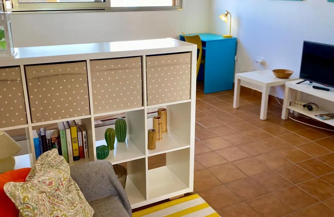 The Summer Treat Shared Apartment Compartido-1