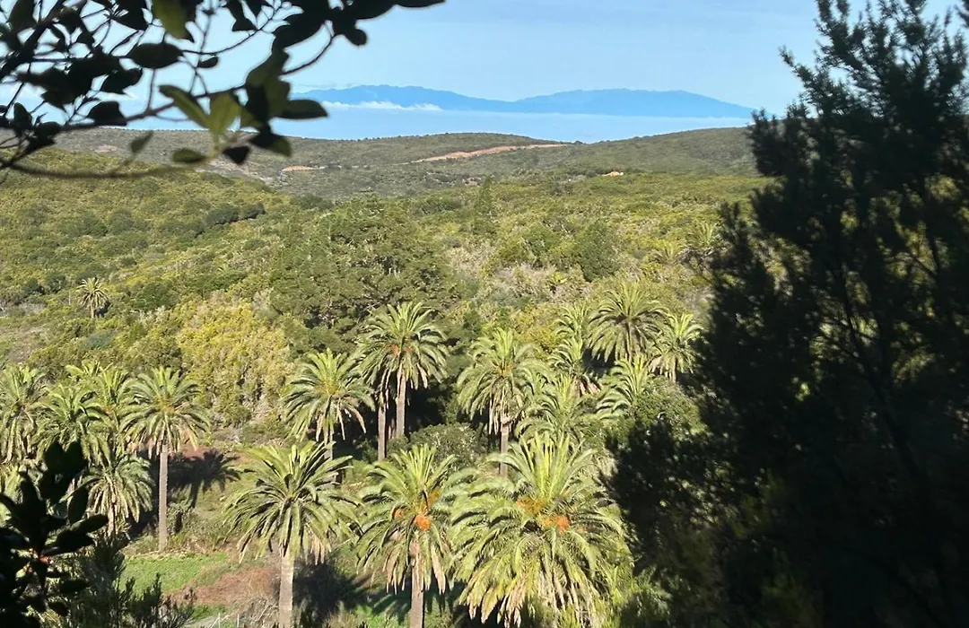 Jardin Las Hayas-1
