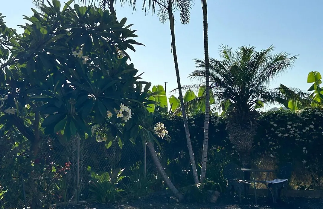 Casa Pedro-1