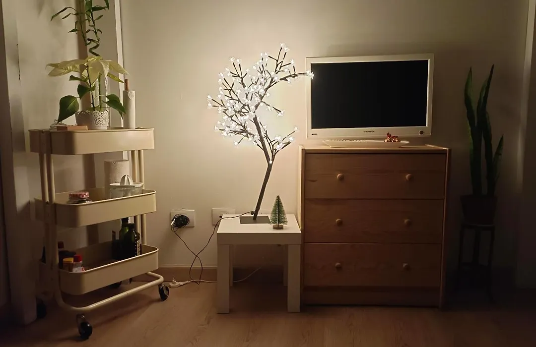Loft Papapepe-1