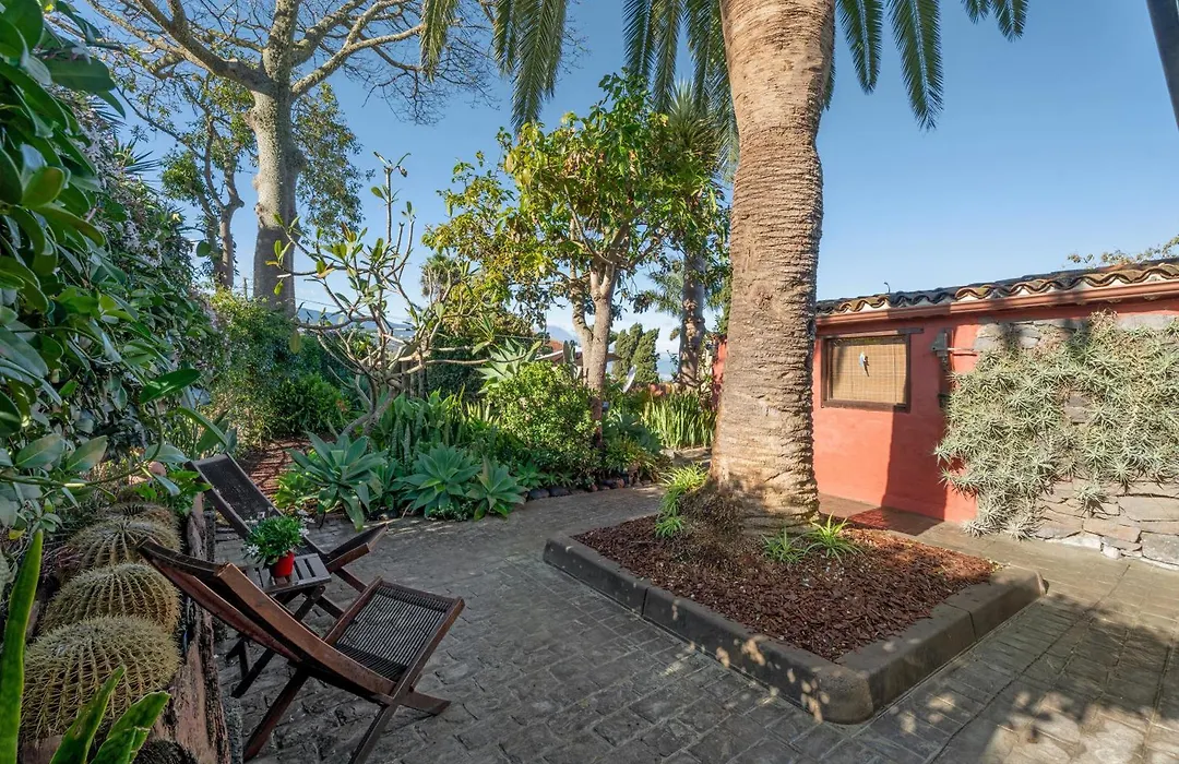 Casa Palmera-1