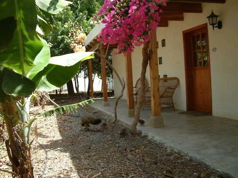 Cho Manuel Residence-1
