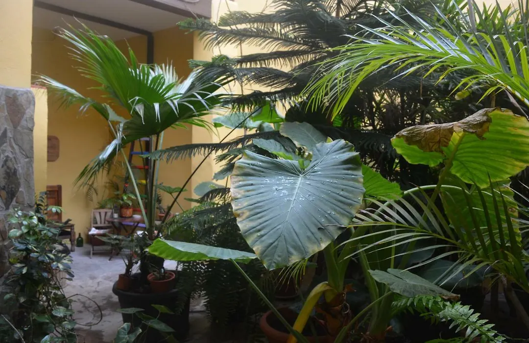 Casa Colonial Cejas-1