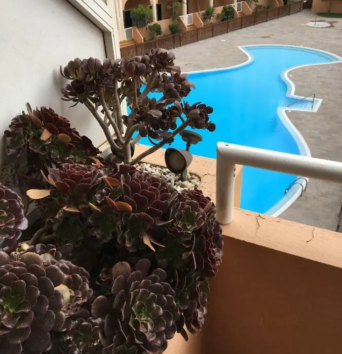 Medano Beach - Marineda - Pool View - 2-1