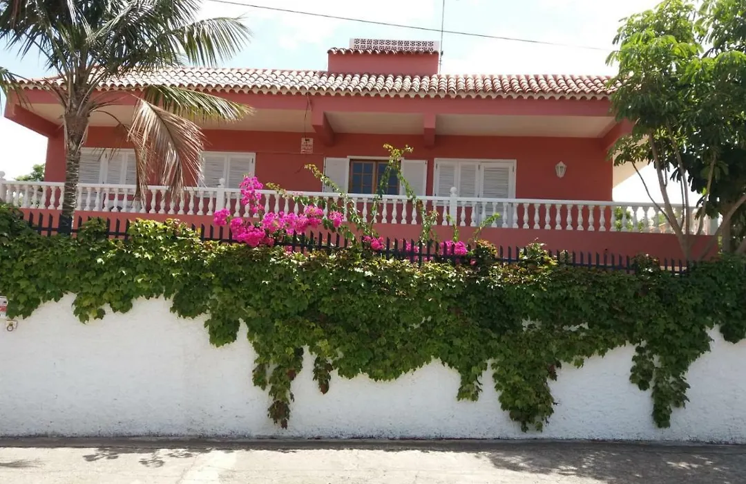 Ada'S House-1