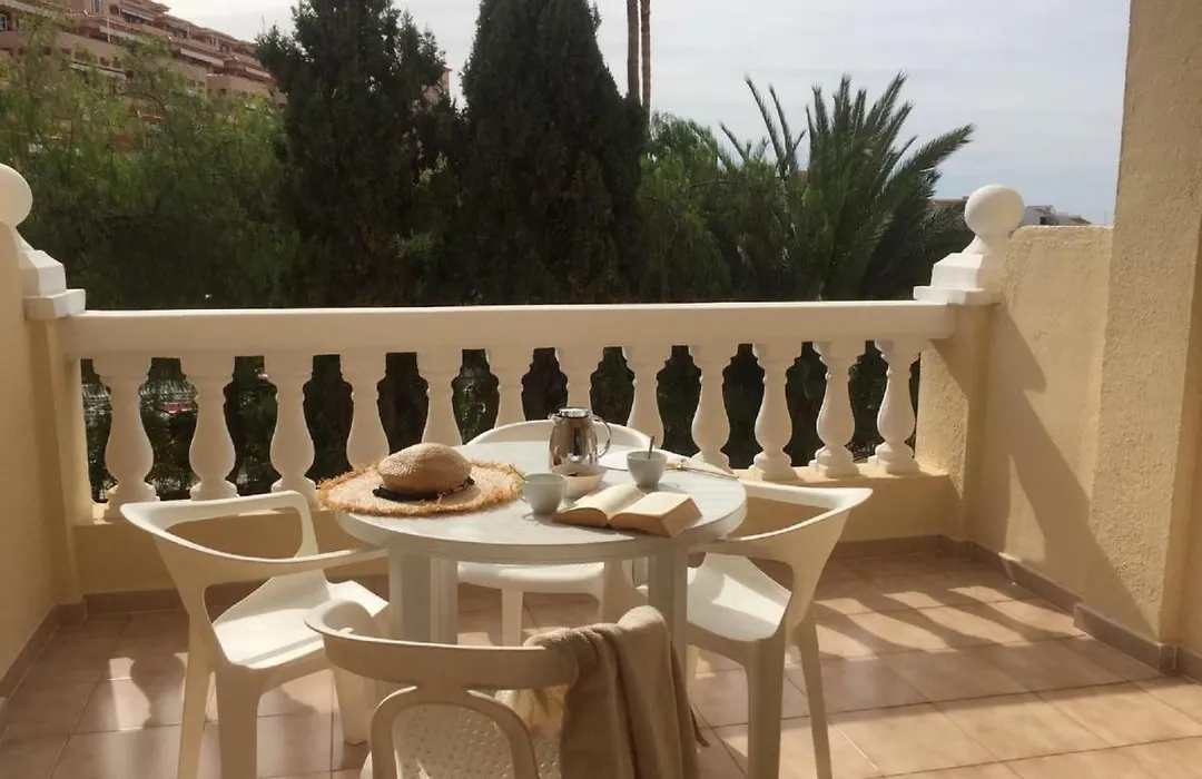 Sunny Views-1