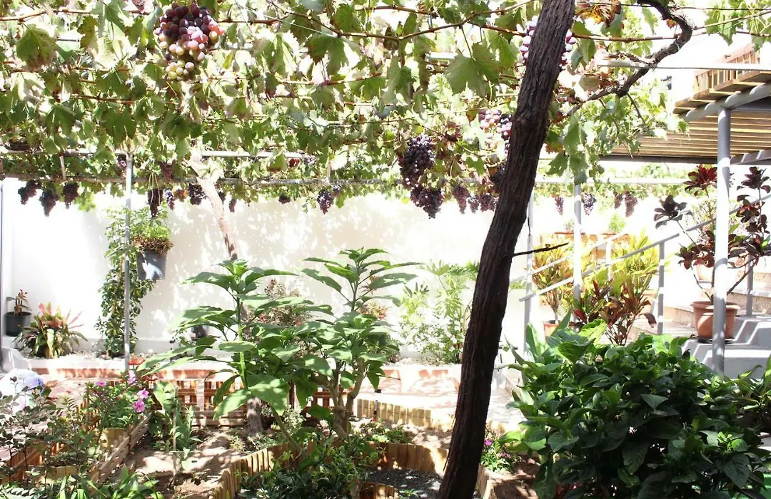 Casa Carmela-1