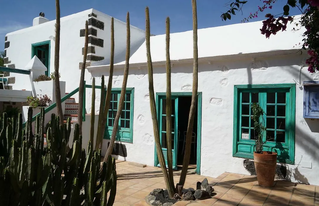 Casa Lisboa, Auf Der Finca Mimosa-1