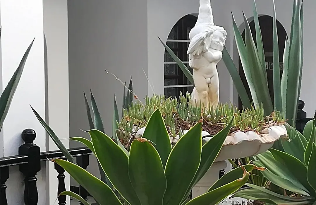 Tropical Loft-1