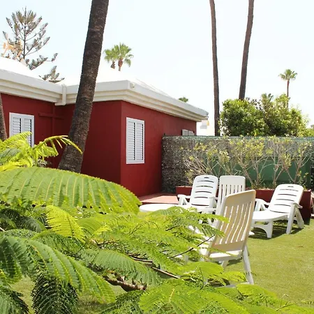 Albaricoques Vivac Bungalow-2