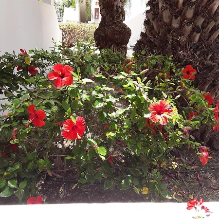Le farniente-3