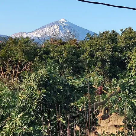 Finca El Trazo-2