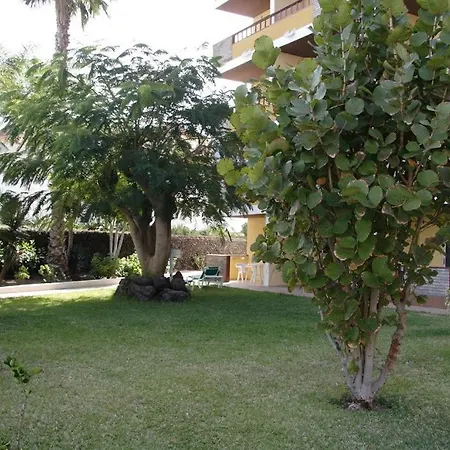 Apartamentos Los Tilos-3