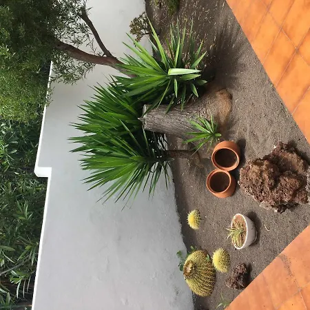 Apartamento Con Jardin Y Piscina-2