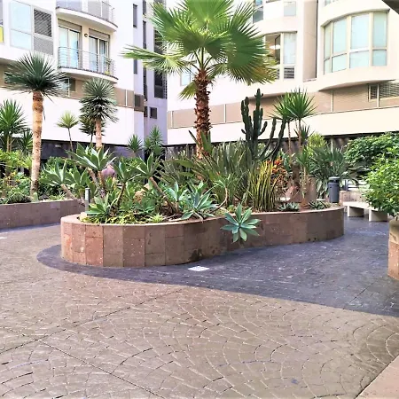 New Estrelitzia Luxury Apartamen-2