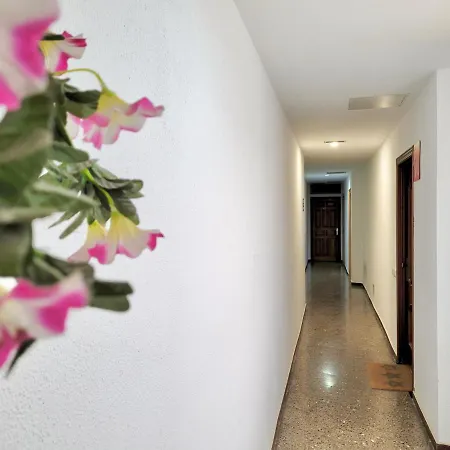 Apartamento Plaza Del Charco-2