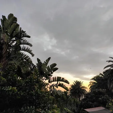 Casa Finca Donana-3