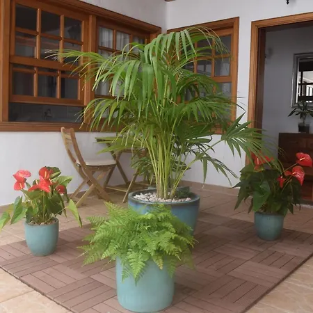 Guanapay Home En El Centro De Teguise-2