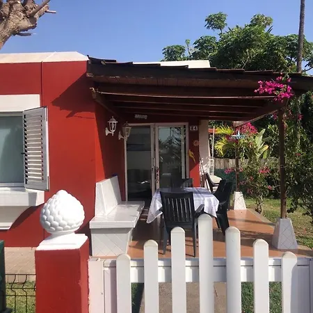 Los Tunos Campo Internacional-2