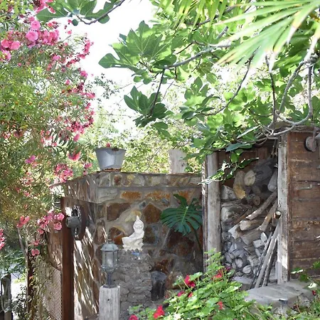 Romantica-2