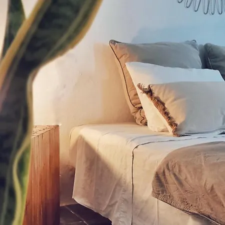 B&B La Mimosa-3