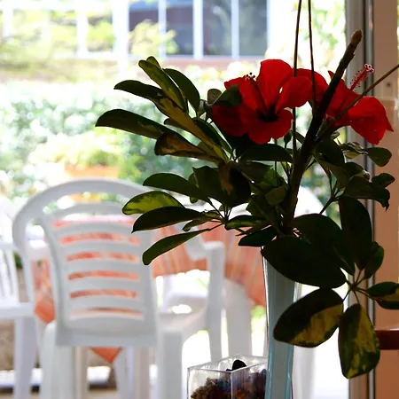Apartamentos Ecuador-2