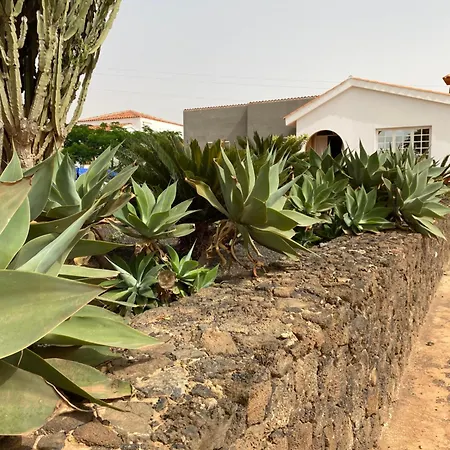 Mi Casa-3