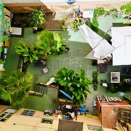 Jungle House-2