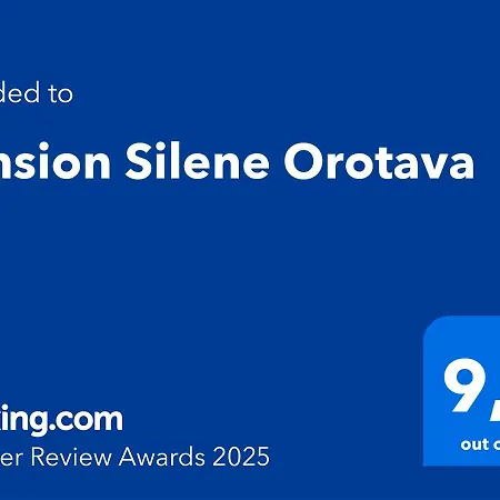 Pension Silene Orotava-2