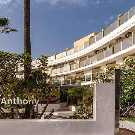Sir Anthony-3
