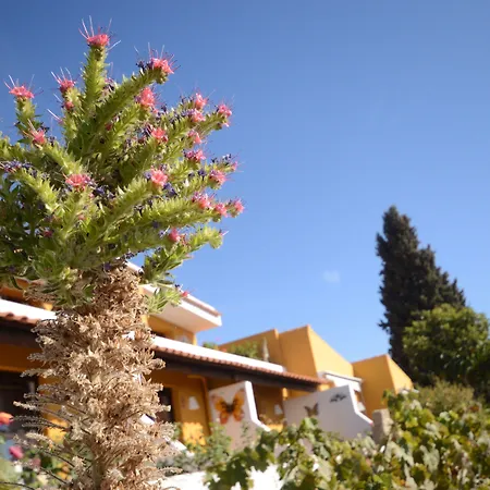 Hotel Alta Montaña-3