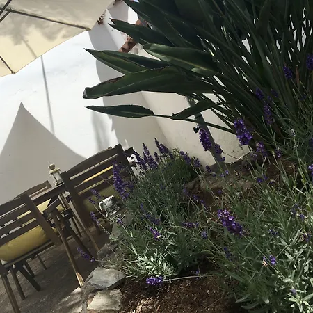La Casita De Las Palmas Vv-2