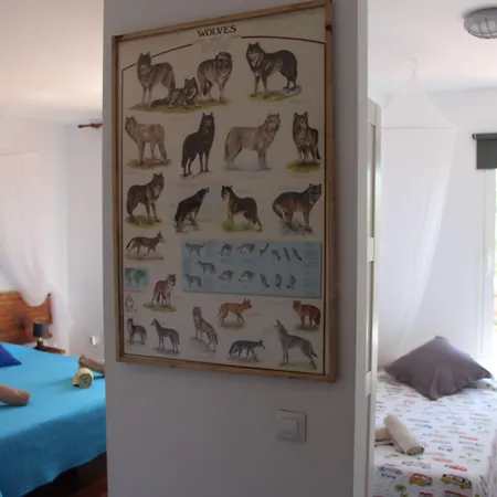 Da Mata Kite&Surf House-2