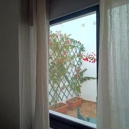 Casa Mocan-2