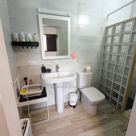 Habitacion Cactus, Entrada Privada Y Bano Privado En Suite By Flamingo House, No Fumadores-2