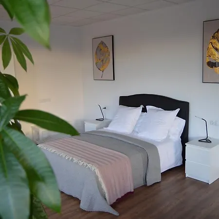 Daida Loft-2